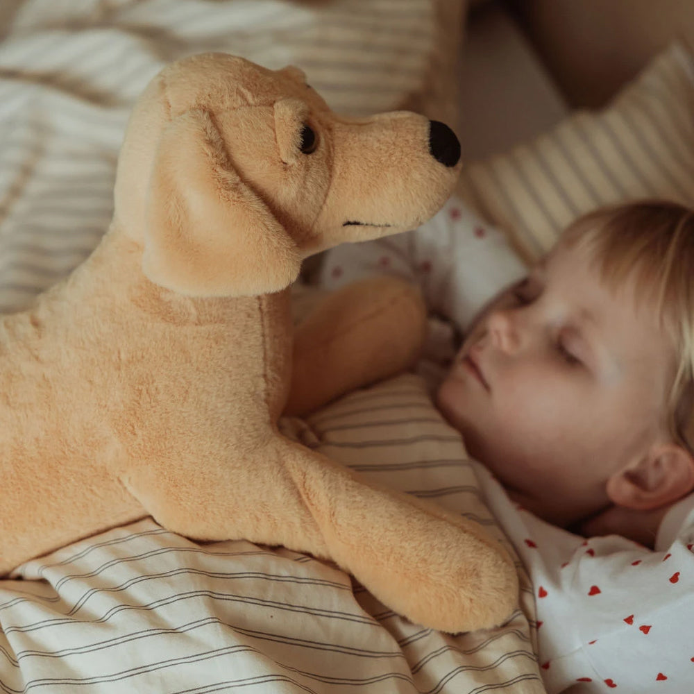 Weiches Kuscheltier Plüsch-Labrador 2,2 kg aus der Spielzeug & Spiele Sammlung, ideal als Geschenk und für die Tierwelt Themenwelt.