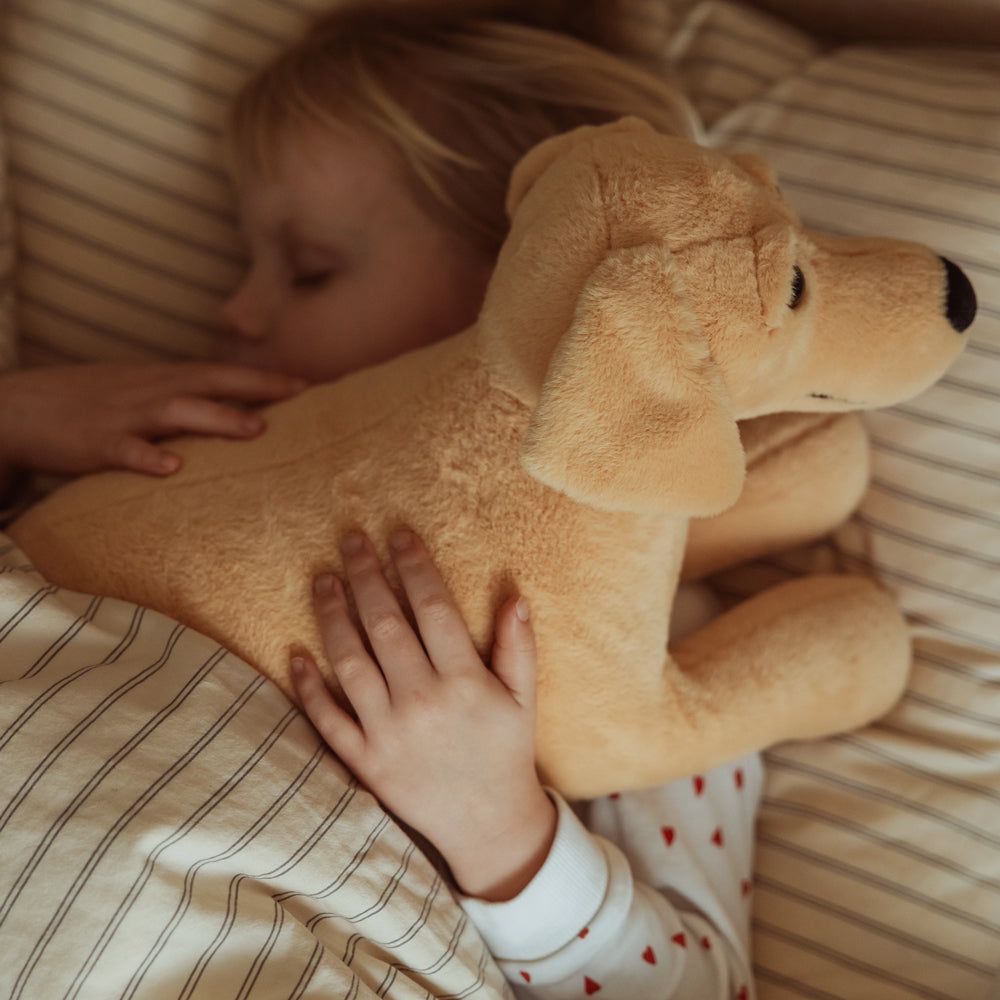 Kind liegt schlafend im Bett und hält kuschelweichen Plüsch-Labrador aus der Tierwelt Themenwelt als beruhigendes Spielzeug.