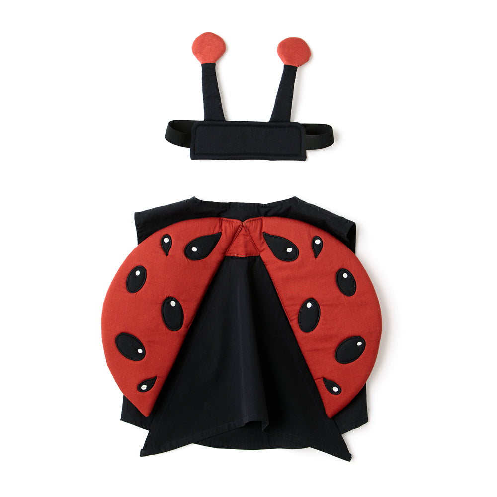 Kinderkostüm Marienkäfer mit Flügeln und Fühlern, ideal für Spiel & Bewegung, Wald Themenwelt und gelbes Kinderzimmer.