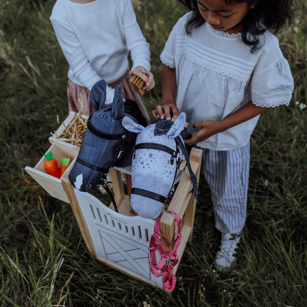 Zwei Kinder spielen mit einer Pferdebox aus Sperrholz für Steckenpferde, ideal für Hobby Horsing und Spiel & Bewegung Kinder.